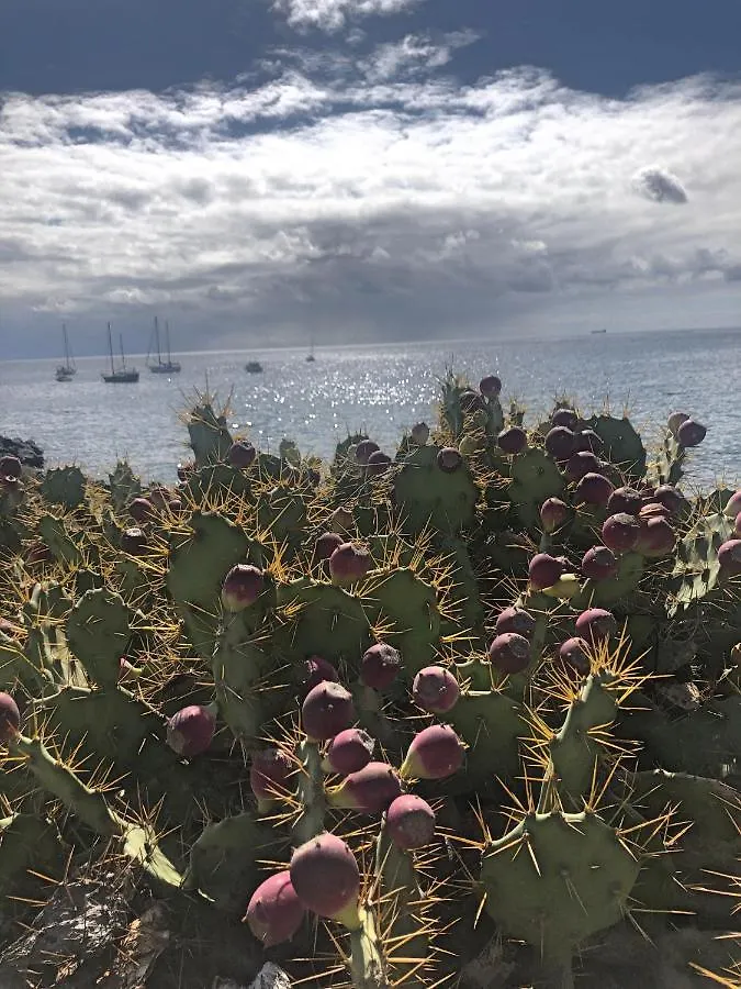 Villa Casa Soleada à Arona  0*, Arona (Tenerife)